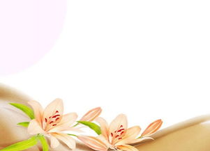 新概念母嬰護理 重塑家政服務(wù)，打造專業(yè)月嫂與陪護新標(biāo)桿