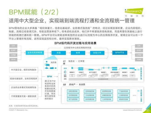2021年中國企業(yè)服務研究報告 信息咨詢服務的發(fā)展與洞察