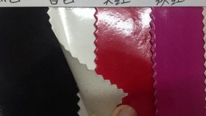 高品質(zhì)鏡面皮革的多元應(yīng)用 樂器保護(hù)套的理想選擇
